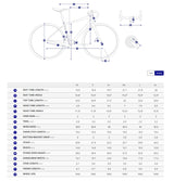 2022 Giant Contend 3 Shimano Claris 8 Speed Rim Brake Aluminum Road Bike