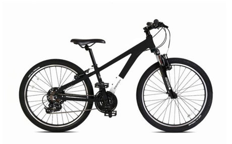 Batch Youth 24 Mountain Bicycle