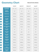 Batch Youth 24 Mountain Bicycle