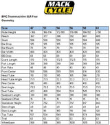 BMC Teammachine SLR Four Shimano 105 Di2 12 Speed Carbon Disc Road Bike