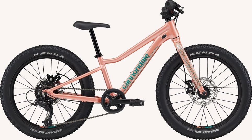 Cannondale Trail Plus 20 Kid's Mountain Bike (Recommended for height 3'10" to 4'3")