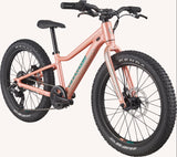 Cannondale Trail Plus 20 Kid's Mountain Bike (Recommended for height 3'10" to 4'3")