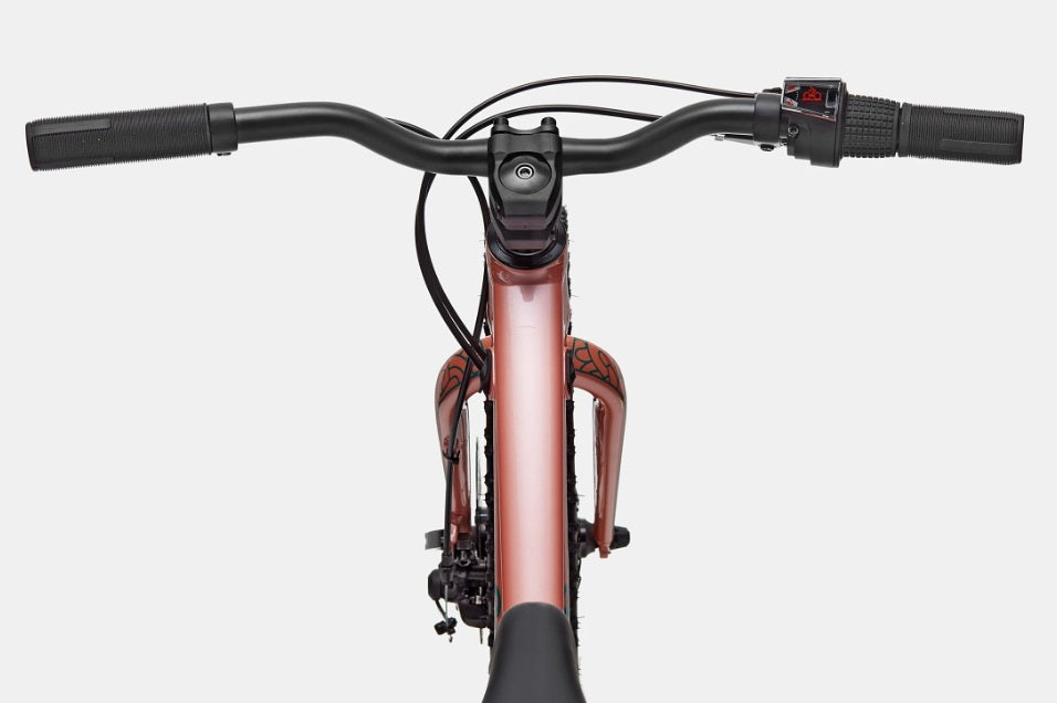 Cannondale Trail Plus 20 Kid's Mountain Bike (Recommended for height 3'10" to 4'3")