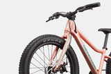 Cannondale Trail Plus 20 Kid's Mountain Bike (Recommended for height 3'10" to 4'3")
