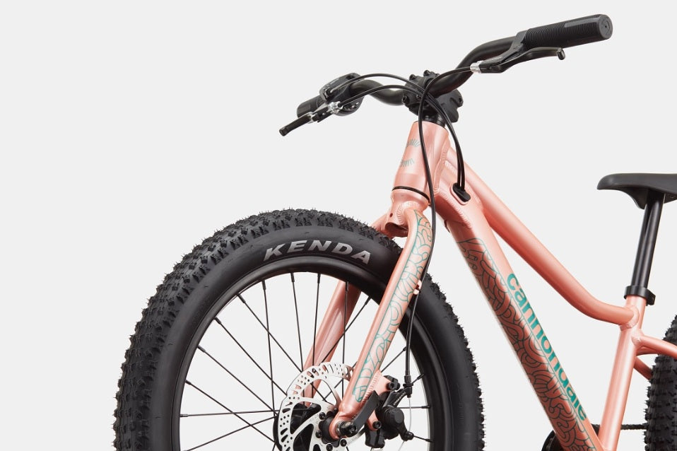 Cannondale Trail Plus 20 Kid's Mountain Bike (Recommended for height 3'10" to 4'3")