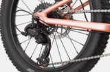 Cannondale Trail Plus 20 Kid's Mountain Bike (Recommended for height 3'10" to 4'3")