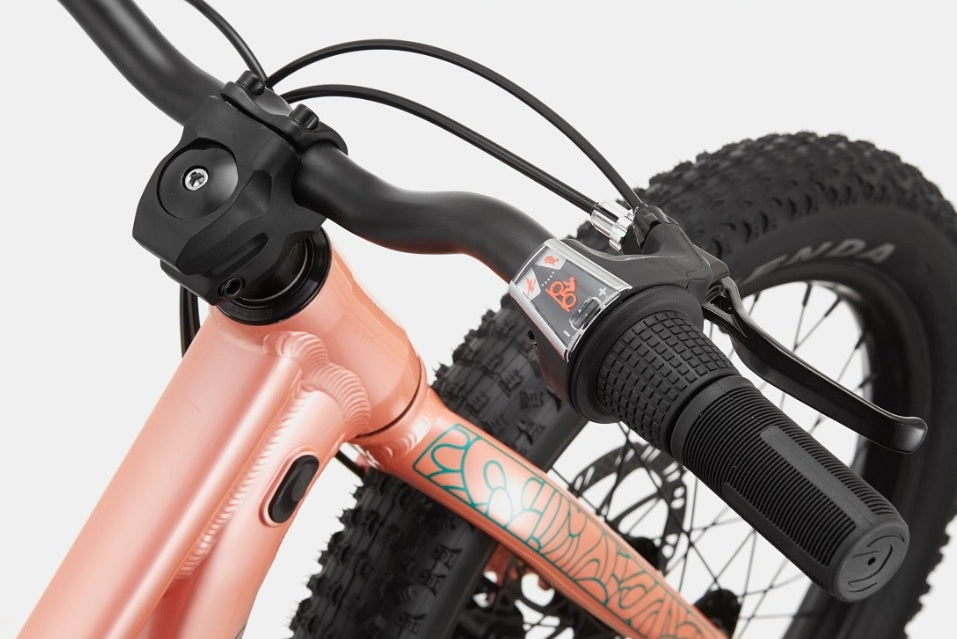 Cannondale Trail Plus 20 Kid's Mountain Bike (Recommended for height 3'10" to 4'3")