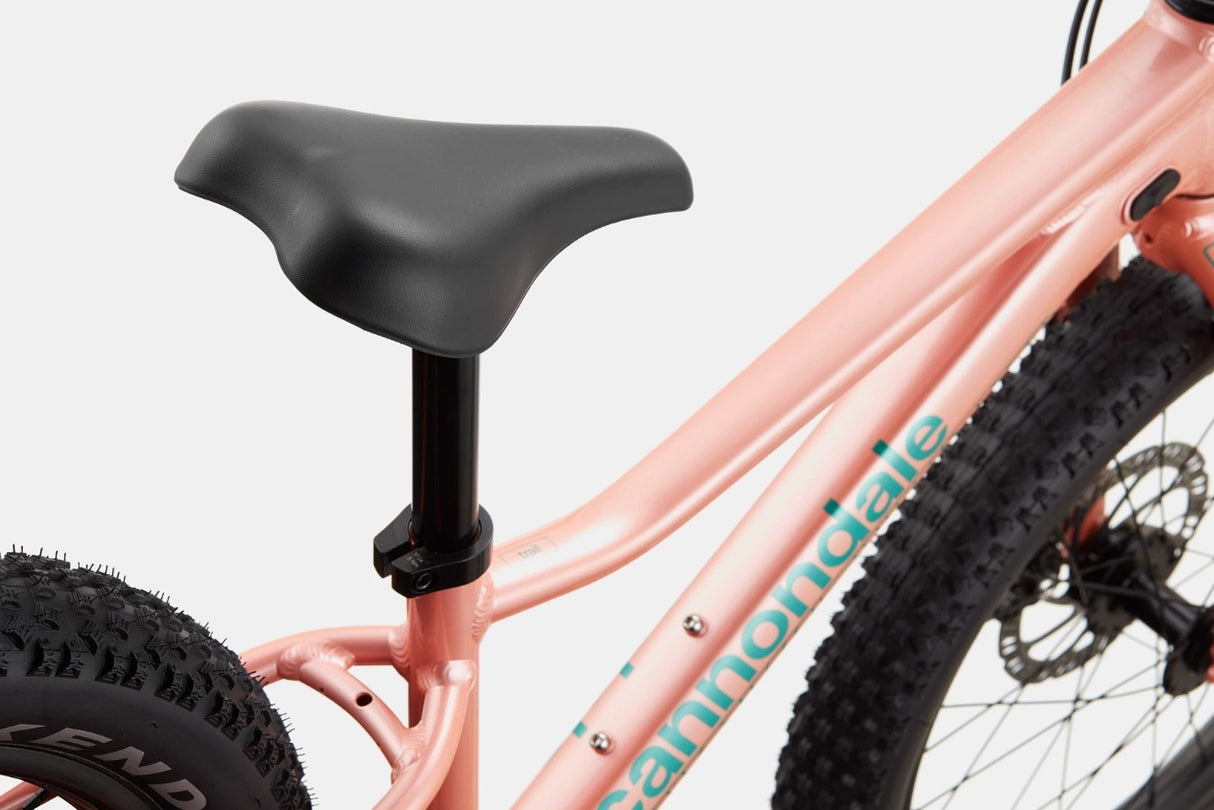 Cannondale Trail Plus 20 Kid's Mountain Bike (Recommended for height 3'10" to 4'3")