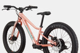 Cannondale Trail Plus 20 Kid's Mountain Bike (Recommended for height 3'10" to 4'3")