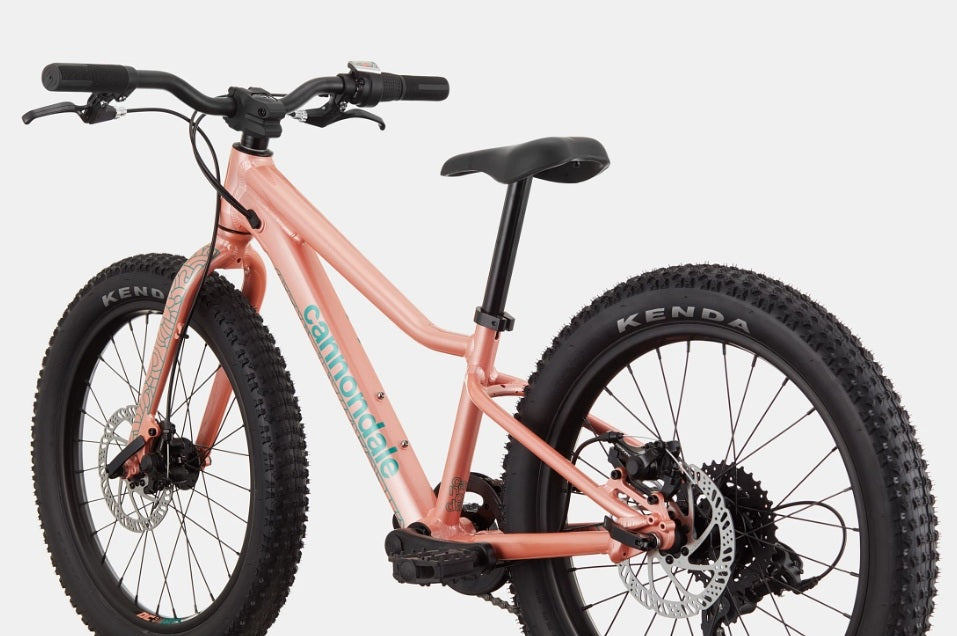 Cannondale Trail Plus 20 Kid's Mountain Bike (Recommended for height 3'10" to 4'3")
