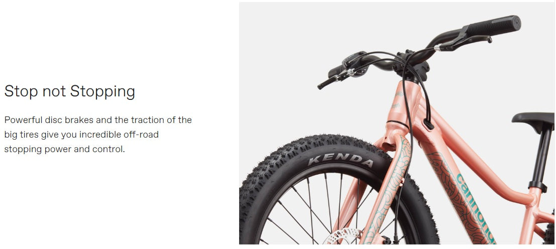 Cannondale Trail Plus 20 Kid's Mountain Bike (Recommended for height 3'10" to 4'3")