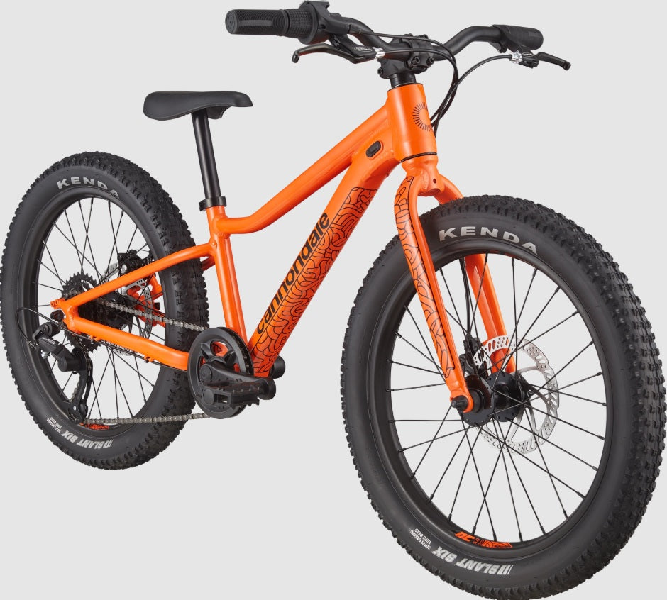Cannondale Trail Plus 20 Kid's Mountain Bike (Recommended for height 3'10" to 4'3")