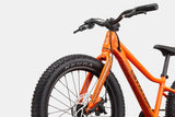 Cannondale Trail Plus 20 Kid's Mountain Bike (Recommended for height 3'10" to 4'3")
