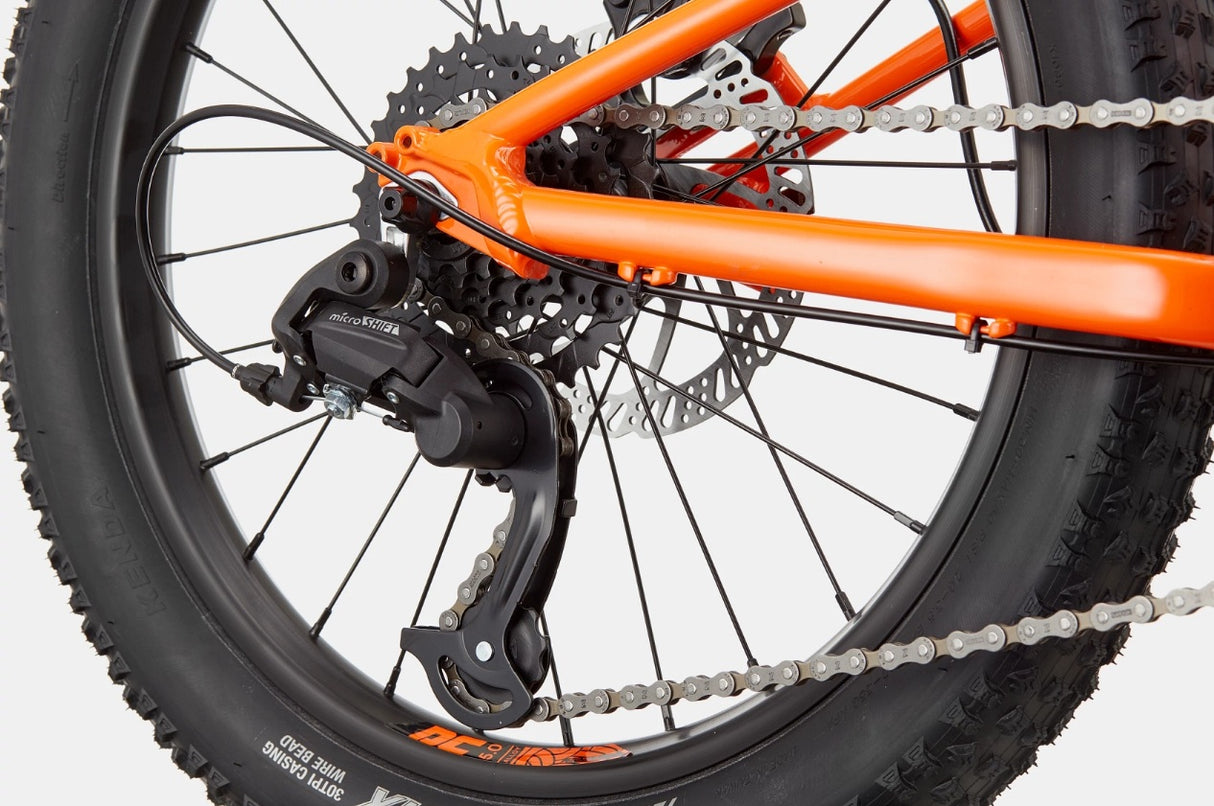 Cannondale Trail Plus 20 Kid's Mountain Bike (Recommended for height 3'10" to 4'3")