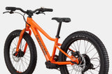 Cannondale Trail Plus 20 Kid's Mountain Bike (Recommended for height 3'10" to 4'3")