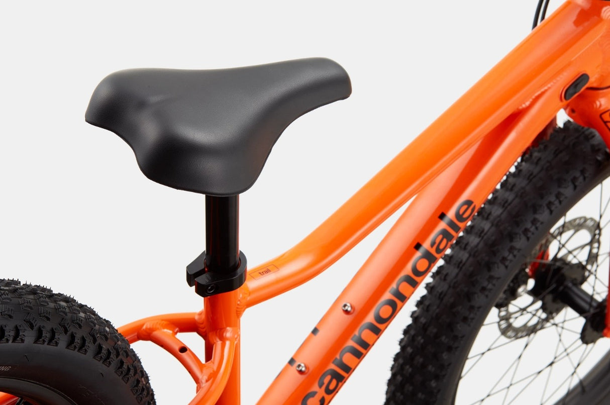 Cannondale Trail Plus 20 Kid's Mountain Bike (Recommended for height 3'10" to 4'3")