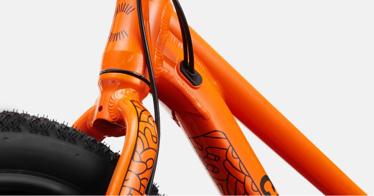 Cannondale Trail Plus 20 Kid's Mountain Bike (Recommended for height 3'10" to 4'3")