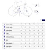 Giant Defy Advanced 2 Shimano 105 Carbon Composite Endurance Road Bike