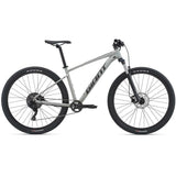 2021 Giant Talon 29 2 Mountain Bicycle
