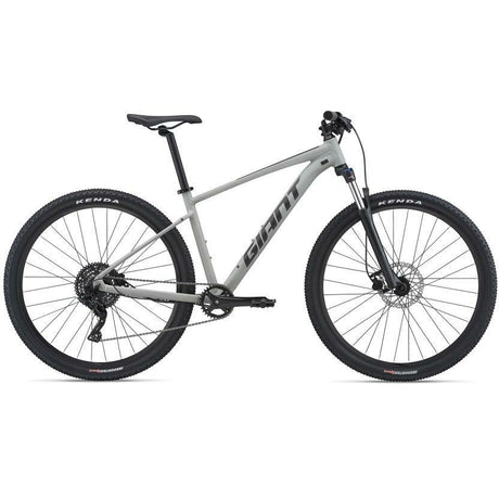 2021 Giant Talon 29 2 Mountain Bicycle