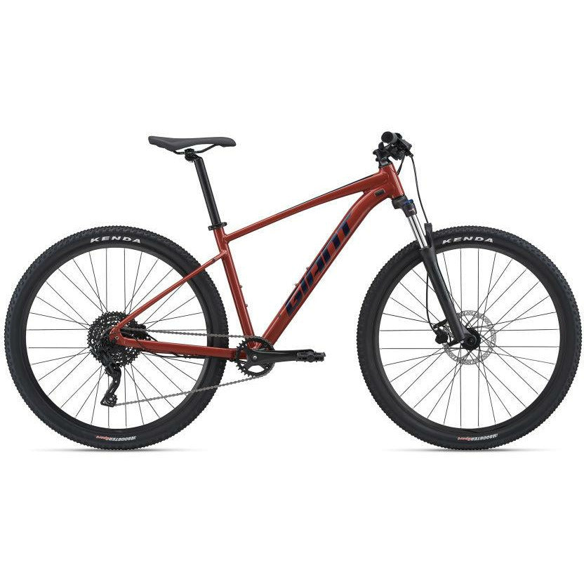 2021 Giant Talon 29 2 Mountain Bicycle