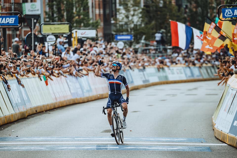 the Museum Collection