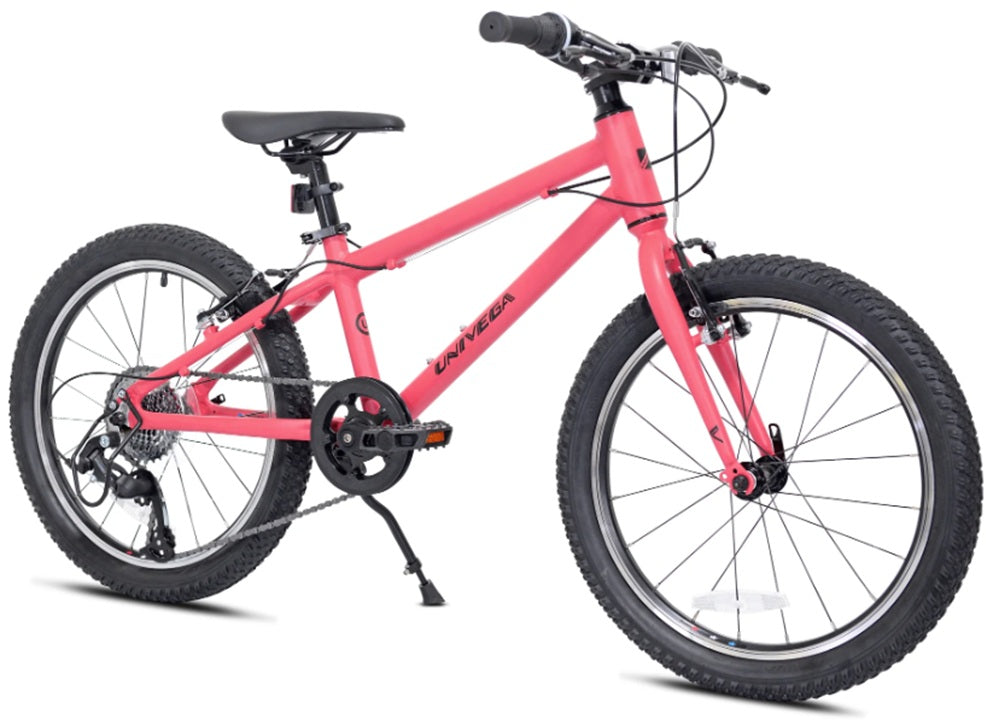 Univega Rover Flex 8 Speed 20 Inch Kid's Bike