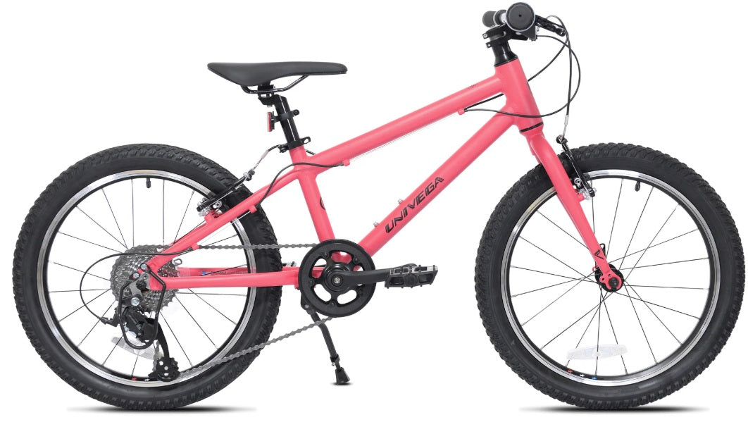 Univega Rover Flex 8 Speed 20 Inch Kid's Bike